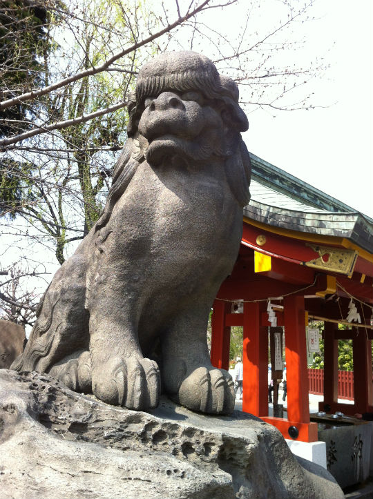 浅草神社狛犬２