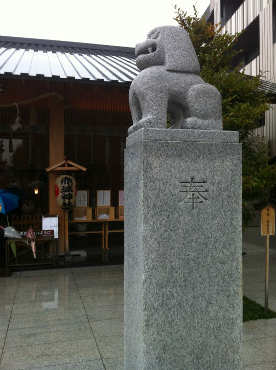 赤城神社狛犬１